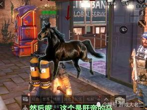 明日周年版本爆料最新,新版本爆料，惊喜连连，共赴未来之旅  第2张